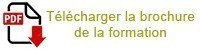 Formation Bachelor responsable de développement commercial à Brest